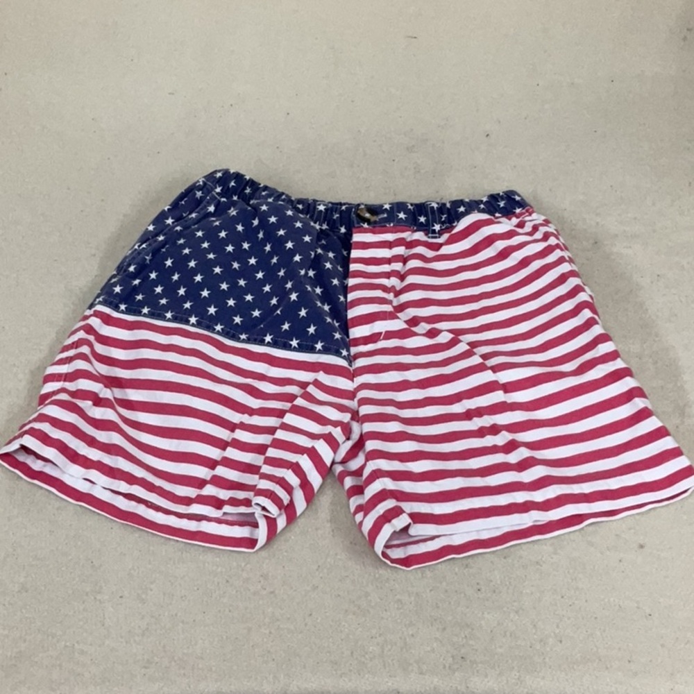 EUC Mens chubbies shorts